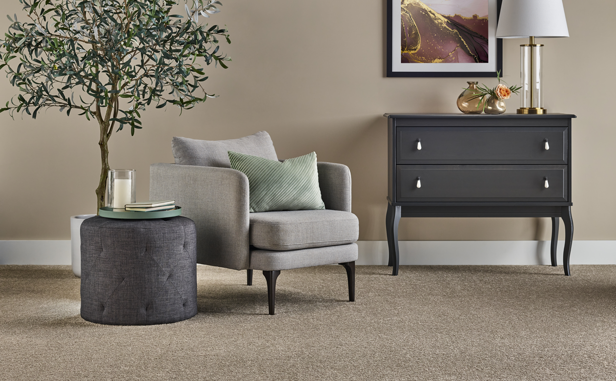 Beige carpet living room with ficus tree. 